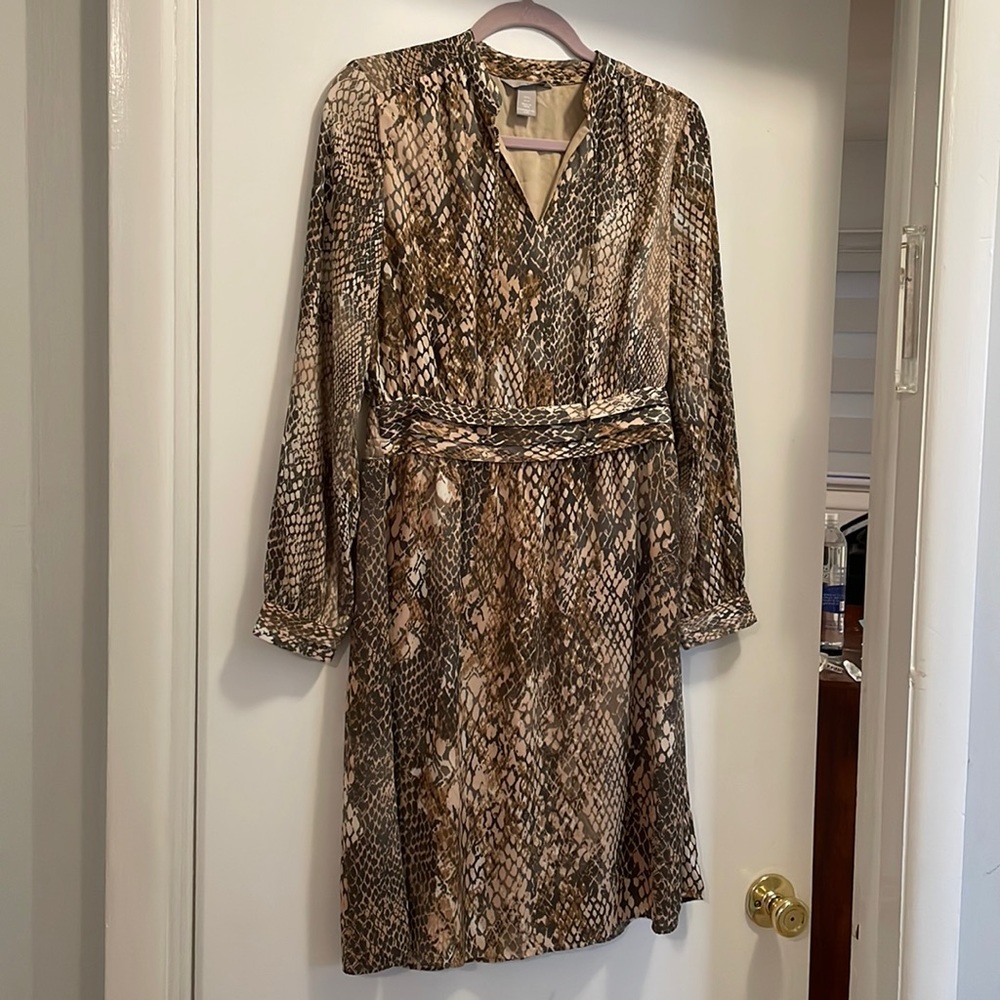 Ladies dress